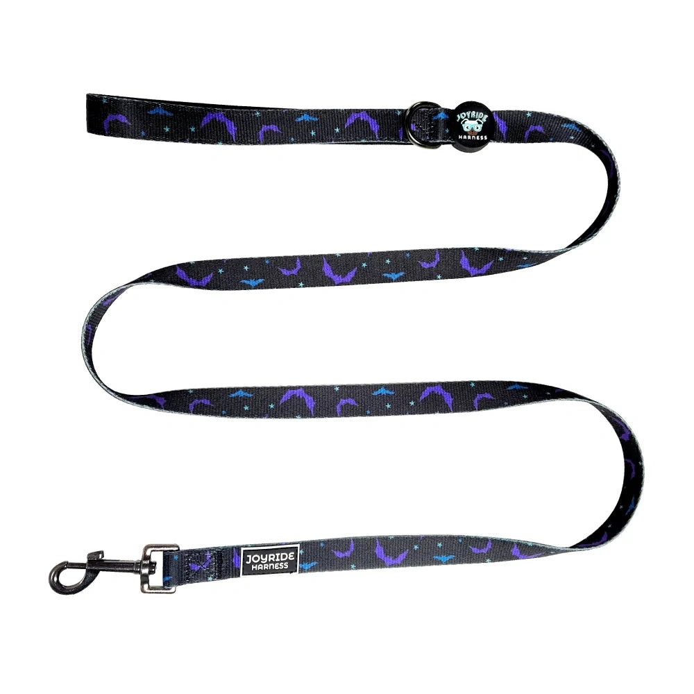 Bat Season Limited Edition Matching Dog Leash