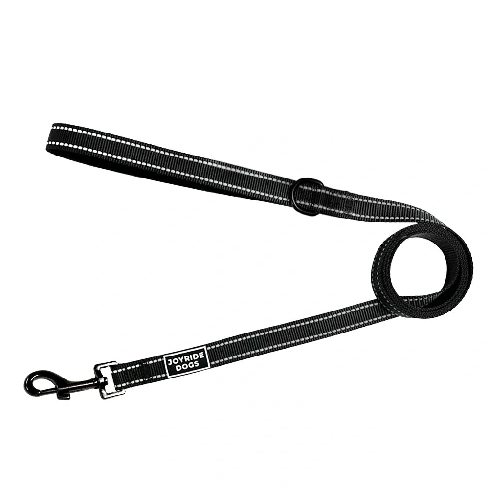 Everyday Comfort Dog Leash