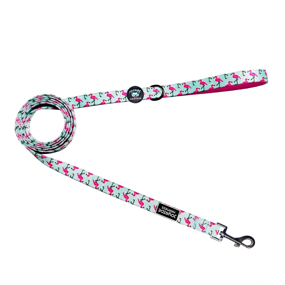 Flamingo Nights Limited Edition Matching Dog Leash
