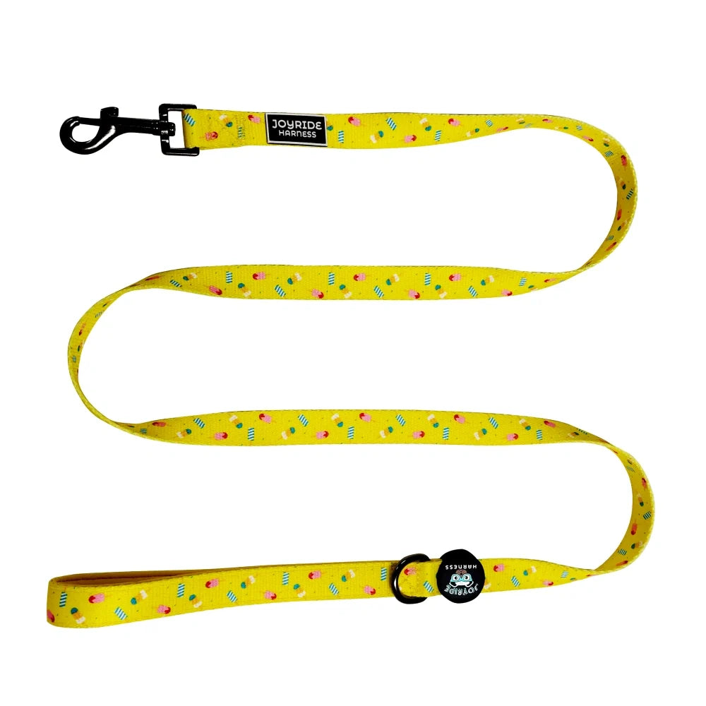 Popsicle Party Limited Edition Matching Dog Leash