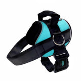 No Pull Joyride Dog Harness 2.0 (Solid Colors) | 10% Off