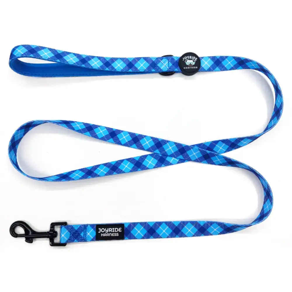 Blue Plaid Matching Dog Leash