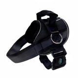No Pull Joyride Dog Harness 2.0 (Solid Colors) | 10% Off