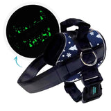 No Pull Joyride Dog Harness 2.0 (Patterns) | 10% Off