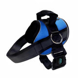 No Pull Joyride Dog Harness 2.0 (Solid Colors) | 10% Off