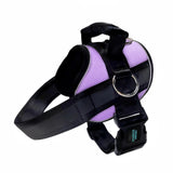 No Pull Joyride Dog Harness 2.0 (Solid Colors) | 10% Off