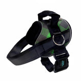 No Pull Joyride Dog Harness 2.0 (Patterns) | 10% Off