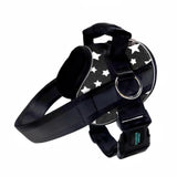 No Pull Joyride Dog Harness 2.0 (Patterns) | 10% Off