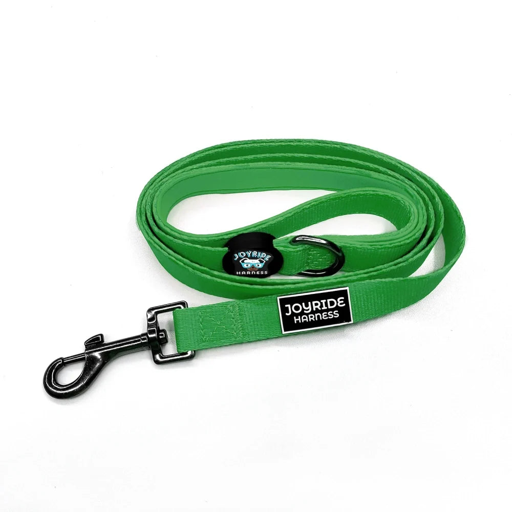 Grass Green Matching Dog Leash