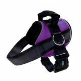 No Pull Joyride Dog Harness 2.0 (Solid Colors) | 10% Off