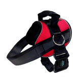 No Pull Joyride Dog Harness 2.0 (Solid Colors) | 10% Off