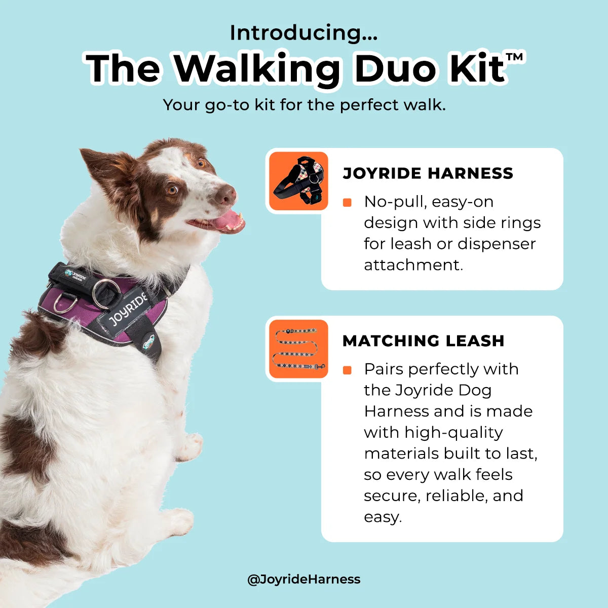 No Pull Joyride Dog Harness 2.0 (Patterns) | 10% Off