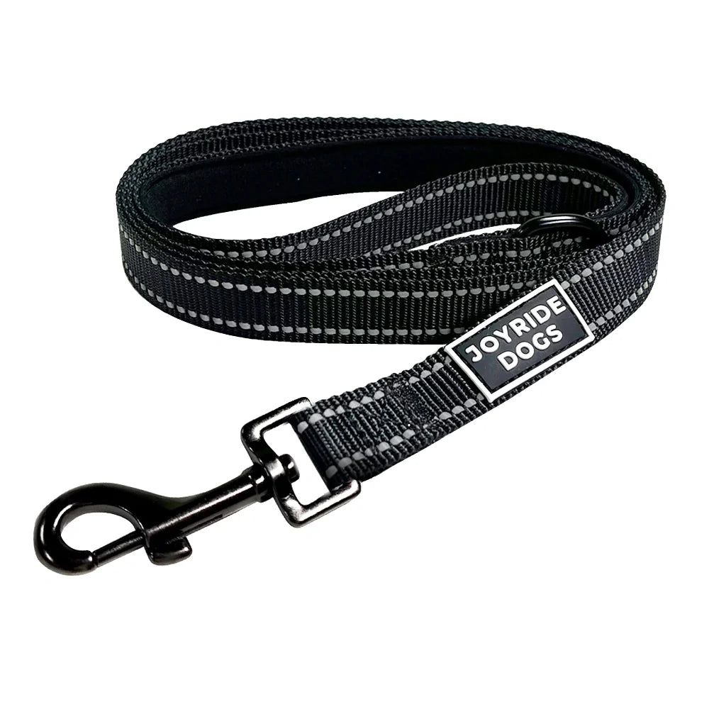 Everyday Comfort Dog Leash