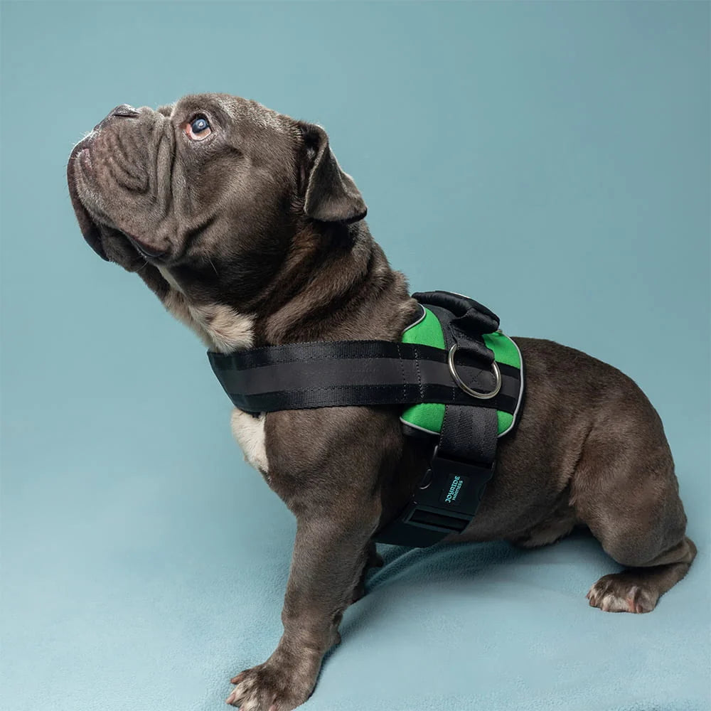 Grass Green Joyride Premium Advanced Dog Harness 2.0