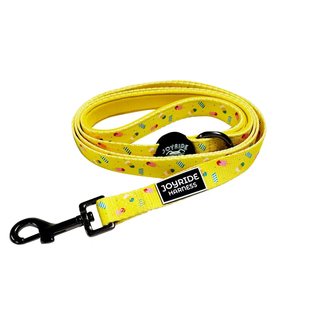 Popsicle Party Limited Edition Matching Dog Leash
