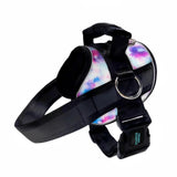 No Pull Joyride Dog Harness 2.0 (Patterns) | 10% Off