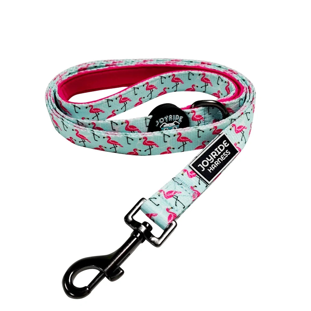 Flamingo Nights Limited Edition Matching Dog Leash