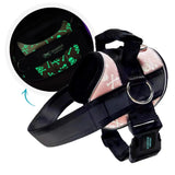 No Pull Joyride Dog Harness 2.0 (Patterns) | 10% Off