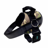 No Pull Joyride Dog Harness 2.0 (Patterns) | 10% Off