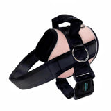 No Pull Joyride Dog Harness 2.0 (Solid Colors) | 10% Off