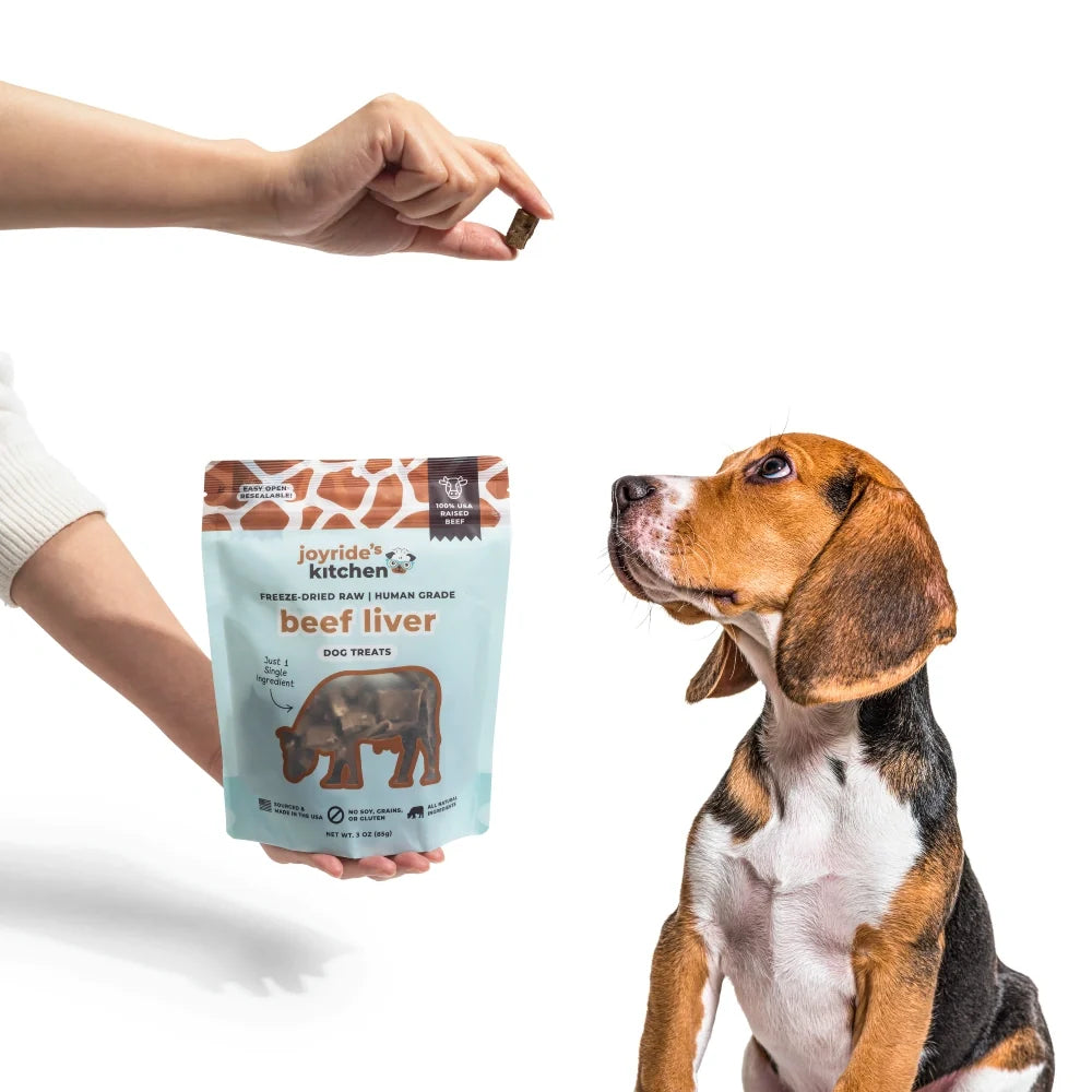 Joyride's Kitchen Beef Liver Freeze-Dried Raw Dog Treats