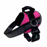 No Pull Joyride Dog Harness 2.0 (Solid Colors) | 10% Off