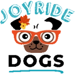 joyrideharnesszone.it.com